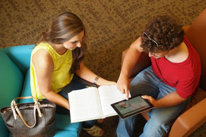 专业版强大的网页在线DDOS压力测试